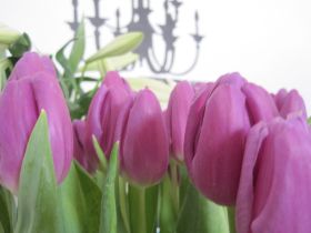 Sicherung März 2010 324.jpg