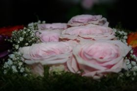 IMG_2567.JPG
